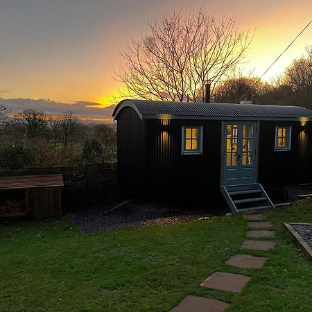Mountain View Shepherd'S Hut For 2 Adults, 1 Dog Villa Llangoed Eksteriør billede